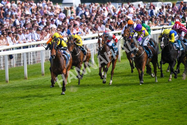 270523-Race 5-Starnberg-0756 - Race 5 3.50pm William Hill Extra Place Races Daily Handicap