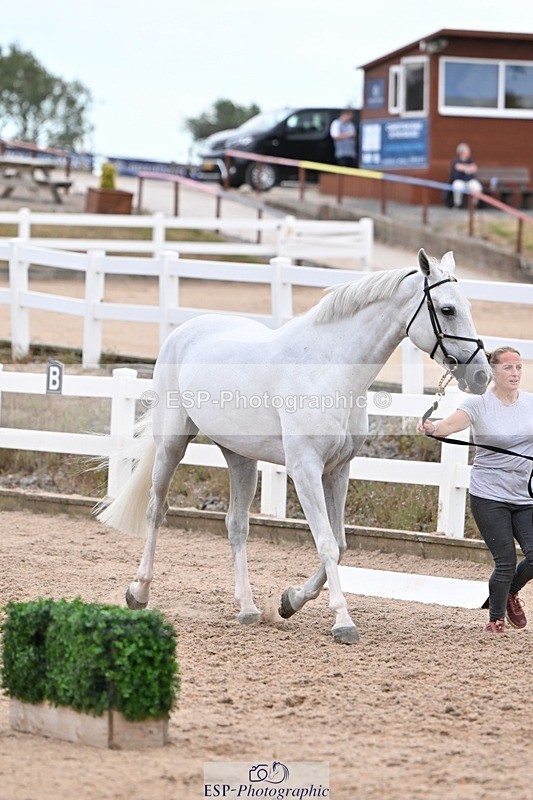 250716-141317-00981 - Trot Up 1.30 to 2.30