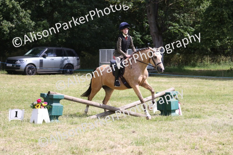 20260614-1771 - Class 21 - Novice Working Hunter Pony