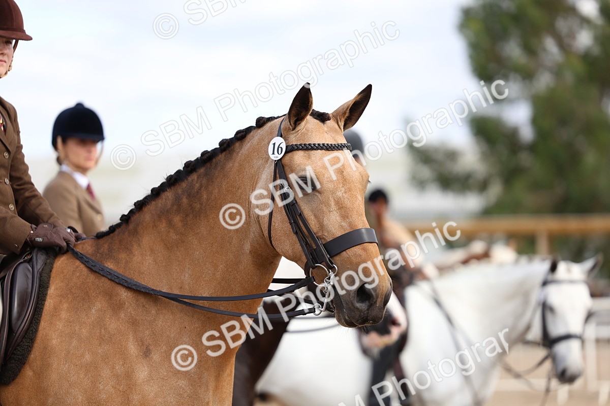 SBM_17192 - Class 315 - Best Horse - Rider Combination