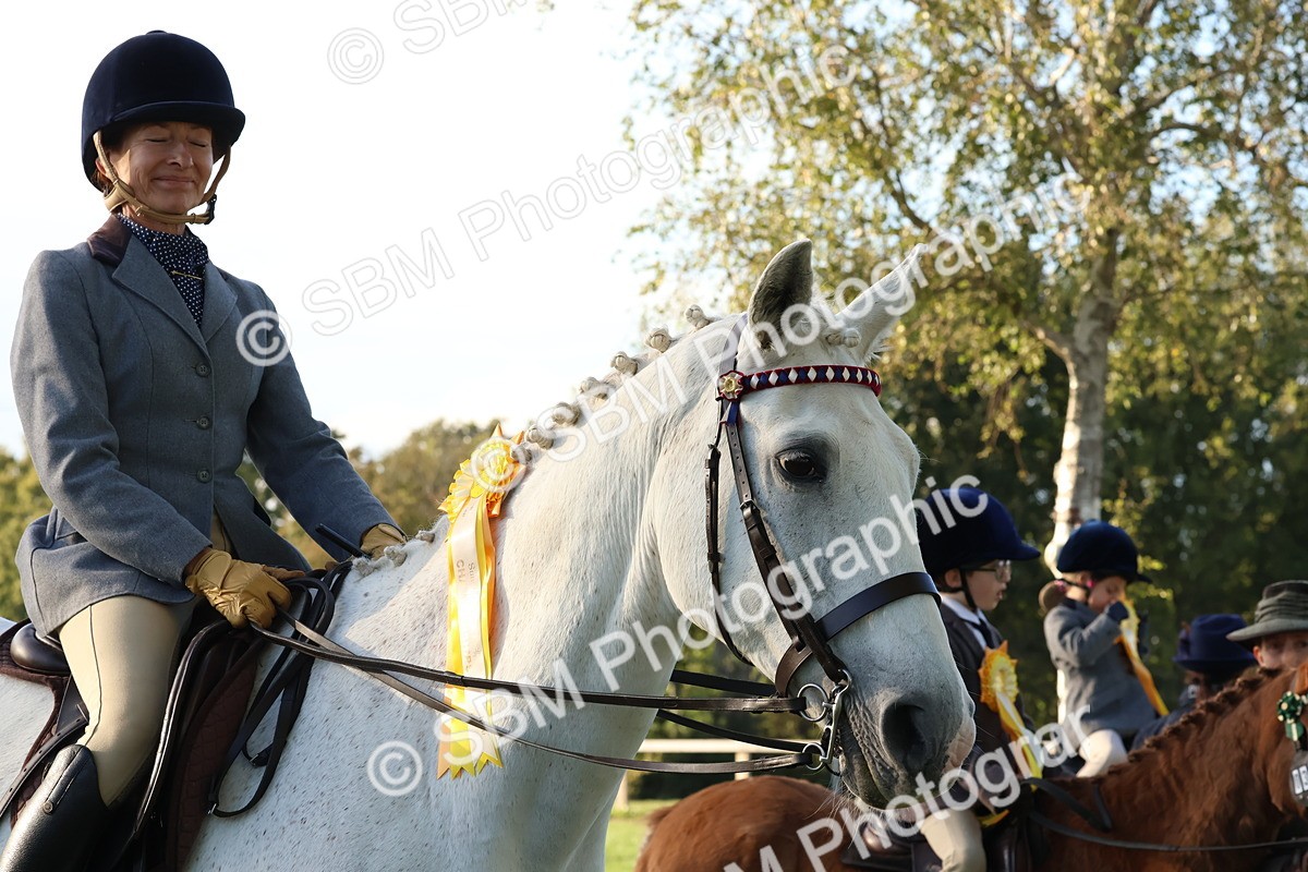 SBM_53101 - S29 - Mature Veteran Ridden