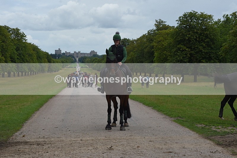 TT3_9906 - Time at Crossing 11:28 to 13:16