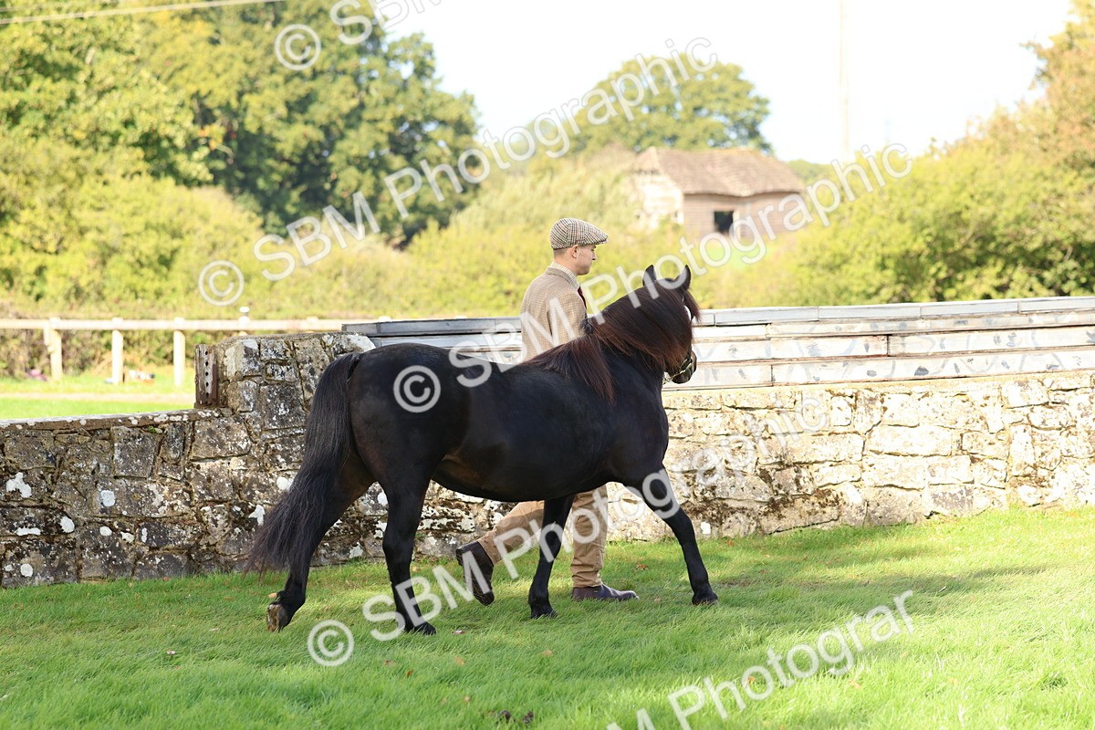 SBM_39387 - S24 - Young Veteran In Hand