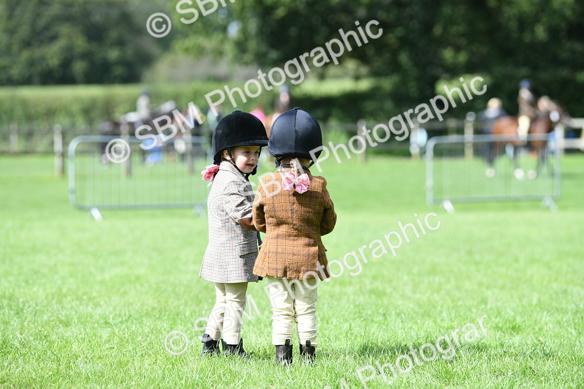 SBM_46791 - S12 - Family Horse & Pony