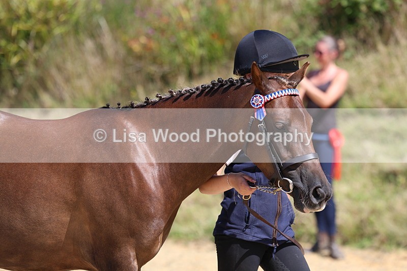 3E7A9620 - Class 32: Best Grass Kept