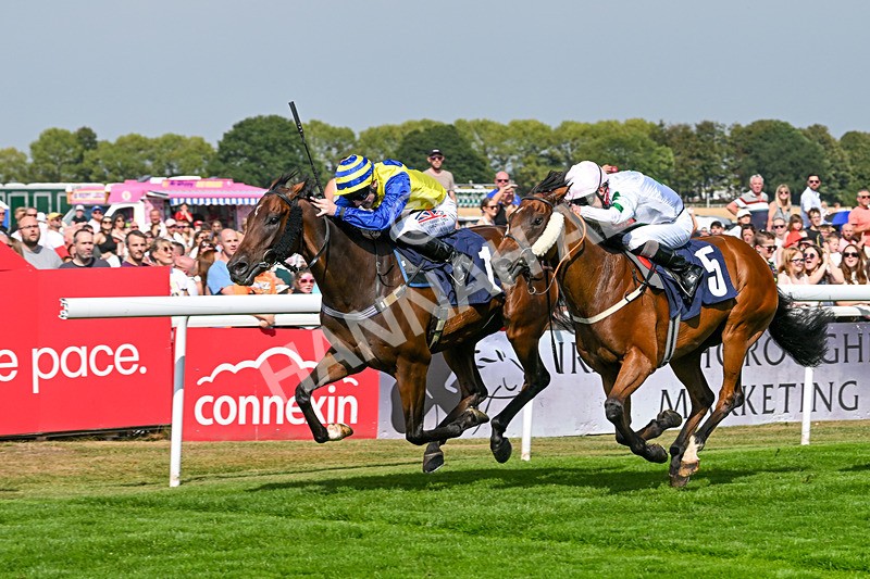 240825-Race 2-Smart Vision-1995 - Race 2