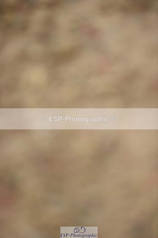 230916A-111438-03661 - Cls 21 British Novice & 90cm Open