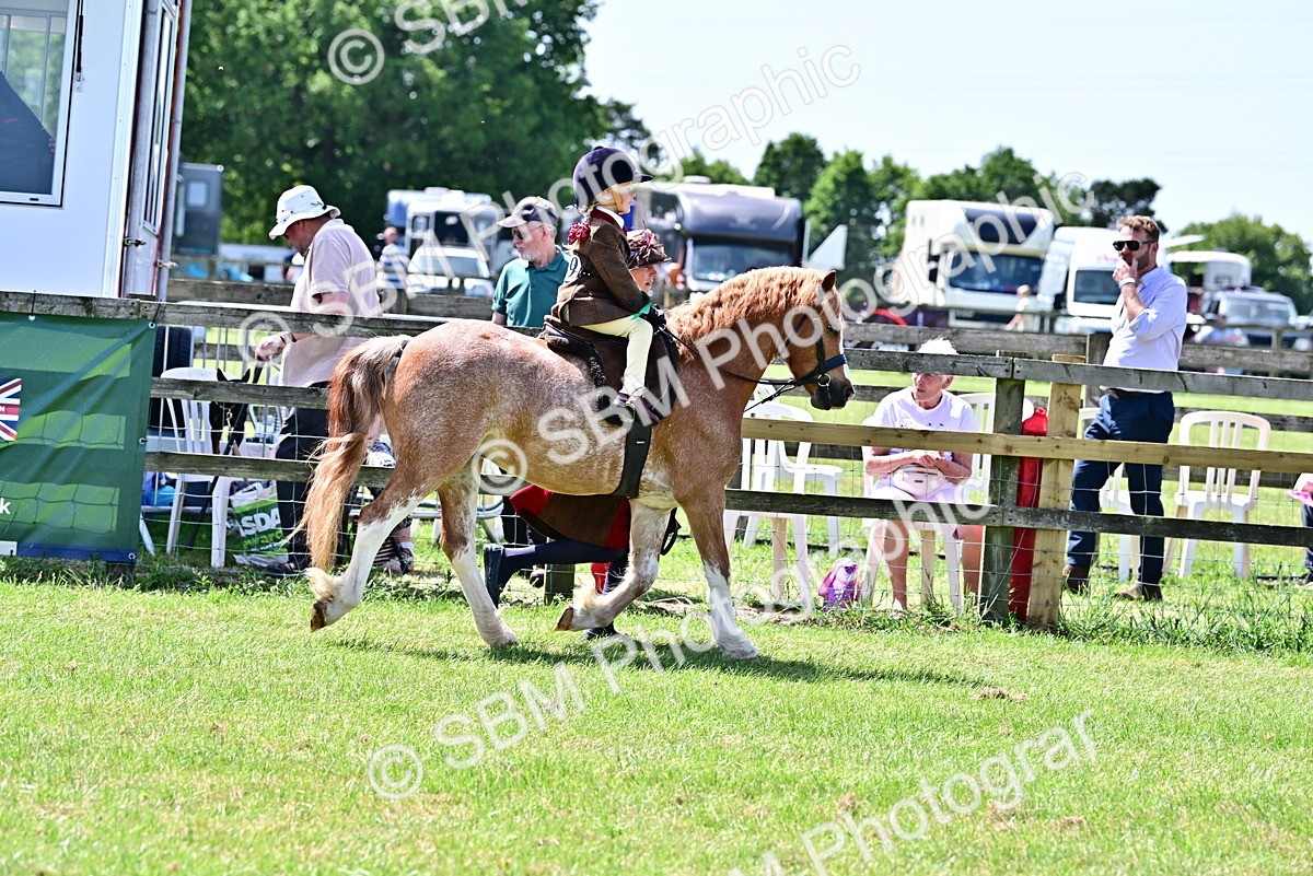 SBM_06003 - Class 59-60 - TSR M&M  Lear Rein and First Ridden Amateur of the year