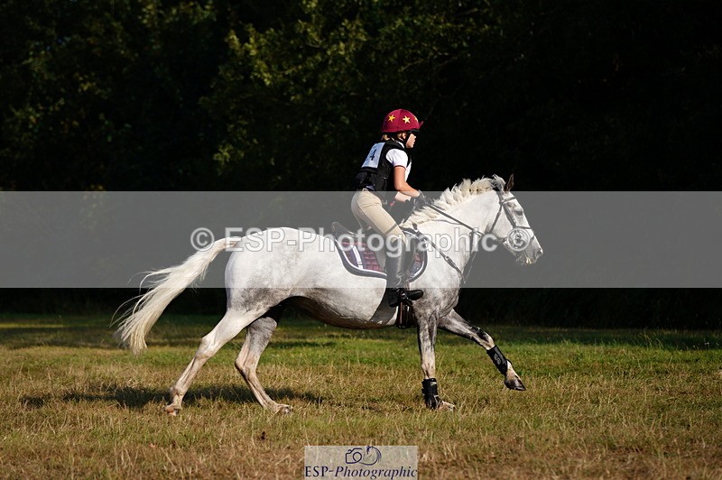 250803A-181316-18909 - R-824-Poppy.Wilkinson-DAISY.DER.BLUME