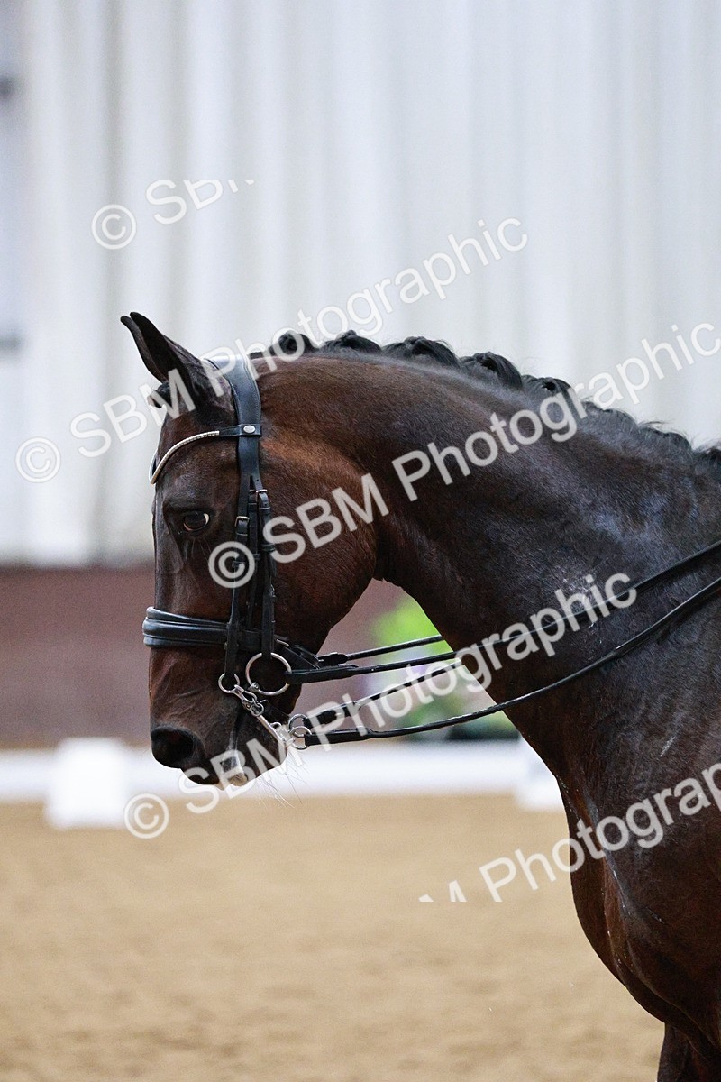 SBM_020747 - Class 13 - FEI INT I - 15.30-16.00