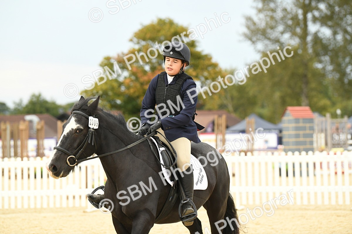 SBM_72972 - J16 - Junior Pony 75cm Championship