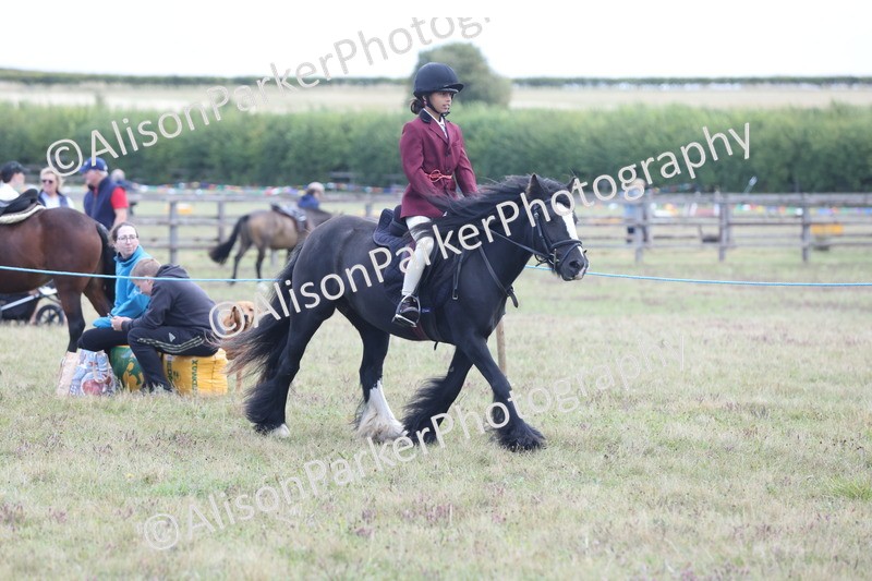 20250831-2361 - Class 16 - Family Pony