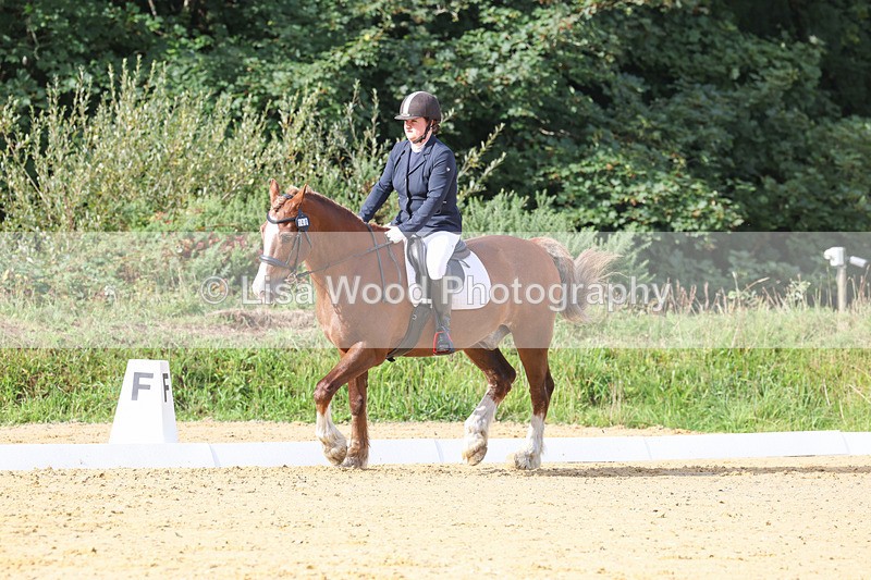 3E7A2249 - Class 1: Intro 4 2024 section A