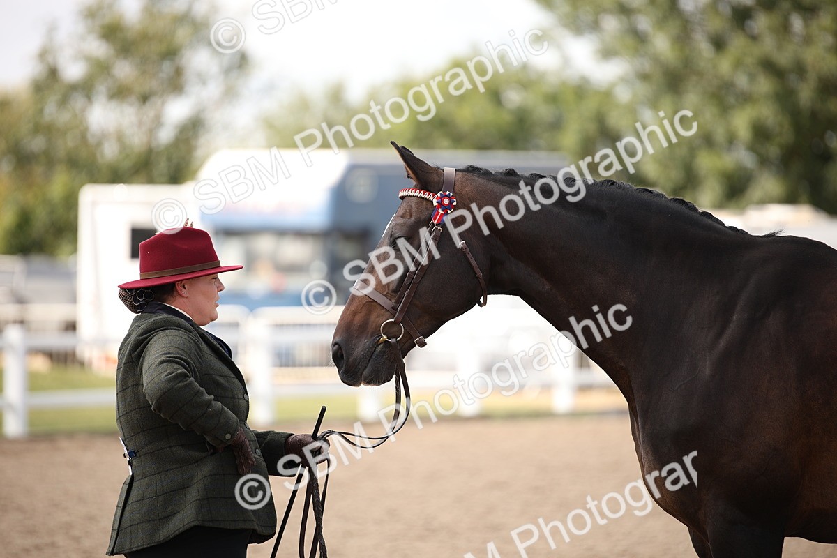 SBM_03784 - Class 19 Judge's Favourite
