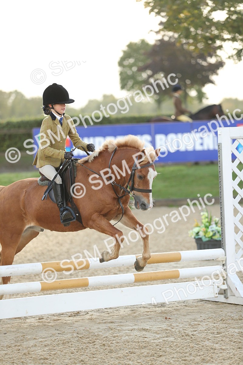 SBM_34146 - J60 Clear Round 50cm