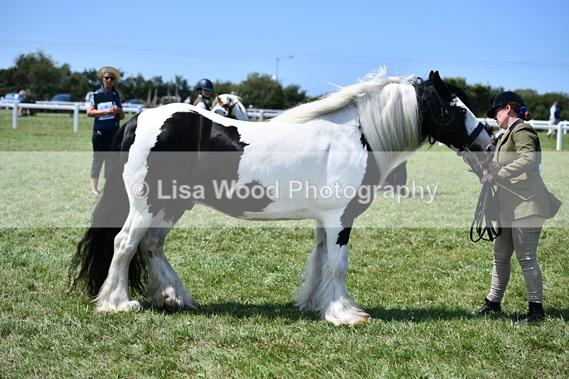 DSC_7748 - Class 64: Coloured Pony 4yrs & over