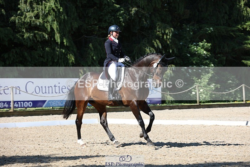 230526-094022-05125 - 357-VIVENDI_HERO-Saffron_Cresswell-WEDTrotUp+DR