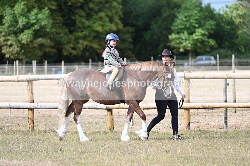 WJ7_6399 - Class 1 Lead Rein Pony