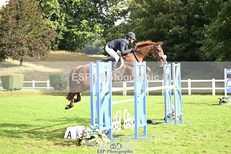 250831A-090019-09108 - Cls 34 Snr Foxhunter