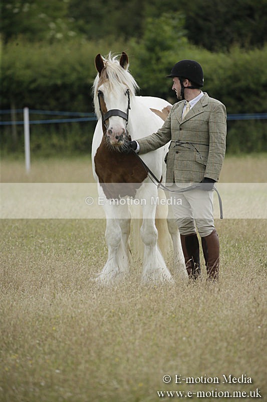 B230619-0687 - Bourne Valley Riding Club Summer Show 23/06/19