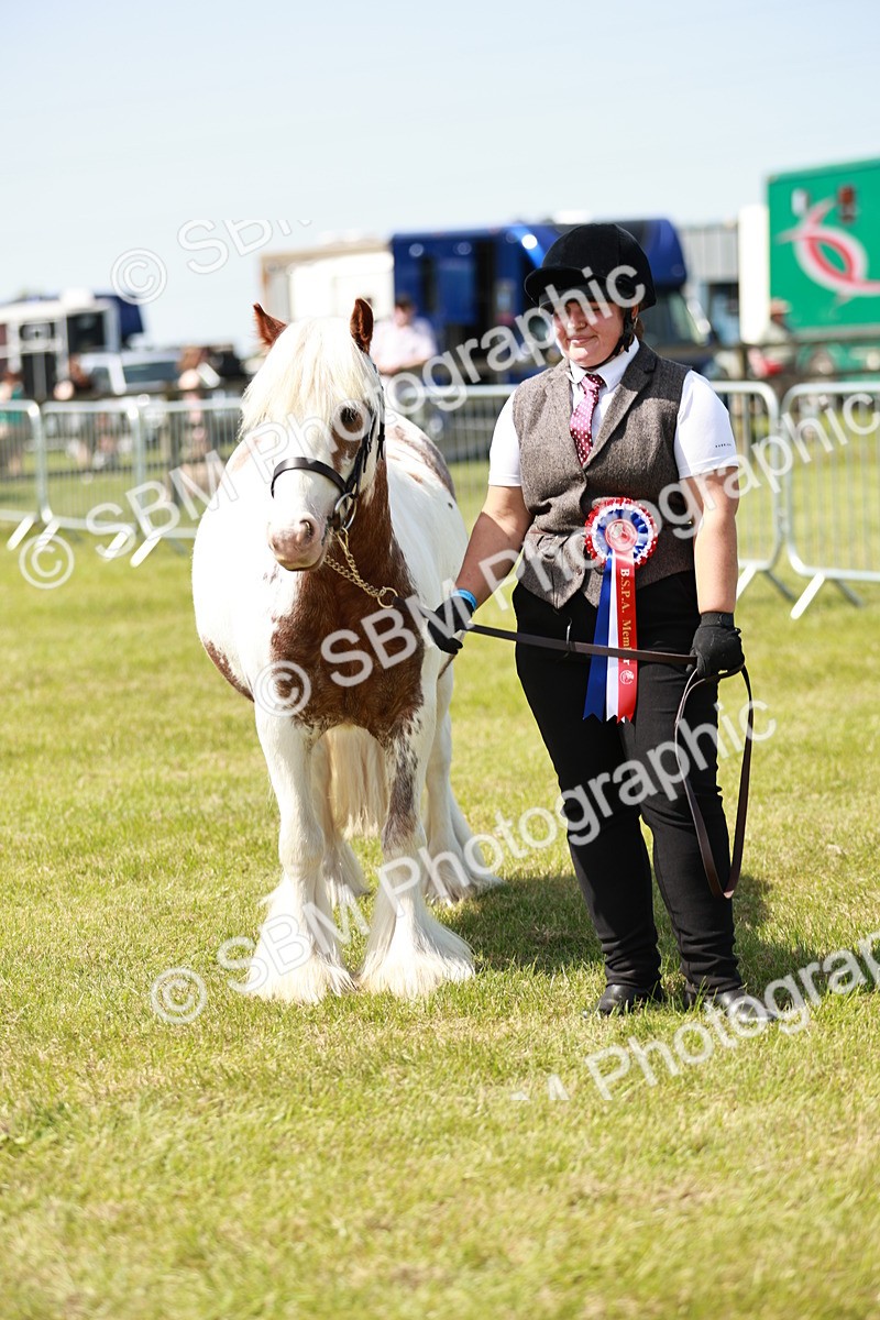 SBM_04295 - Class 39-40 - BSPA Coloured In Hand