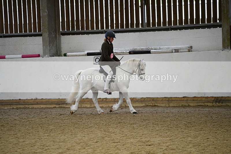 WJ5_6486 - Class 9 Ridden Veteran