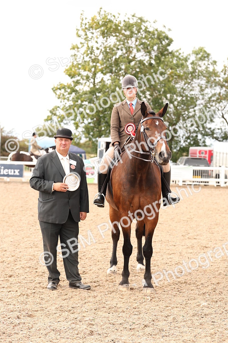 SBM_17275 - Class 213 - Ridden Hunter - Large