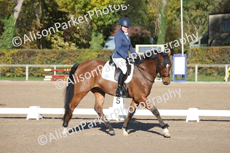 20251102-0427 - Class 3 - Novice 5