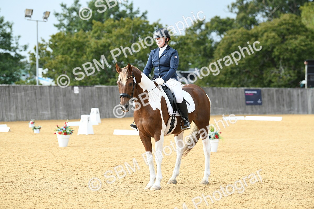 SBM_11058 - D28 Elementary Taster Elementary 42