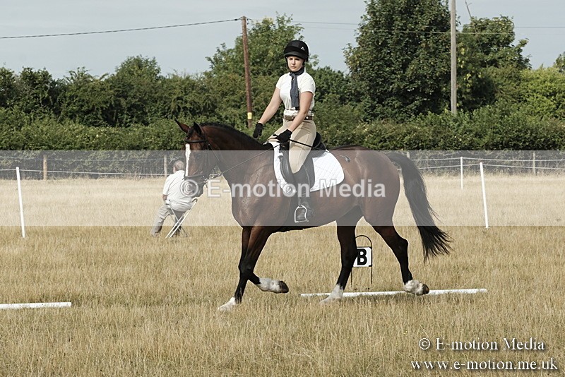 _PJP5681 - Dressage Classes BVRC Show 2018