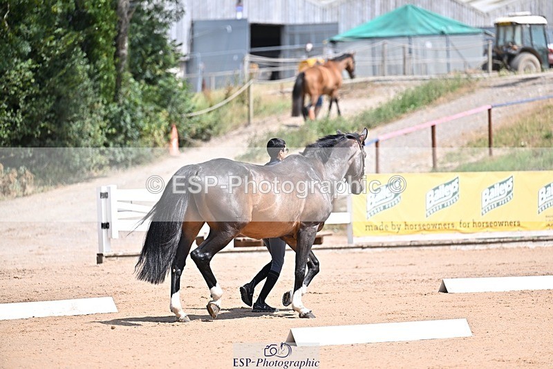 250716-123939-00097 - Trot Up 12.30 to 1.30