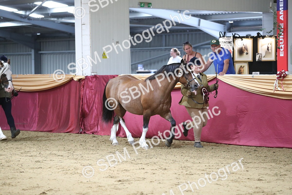 SBM_06493 - Class 9R Regional- IH Pre Vet
