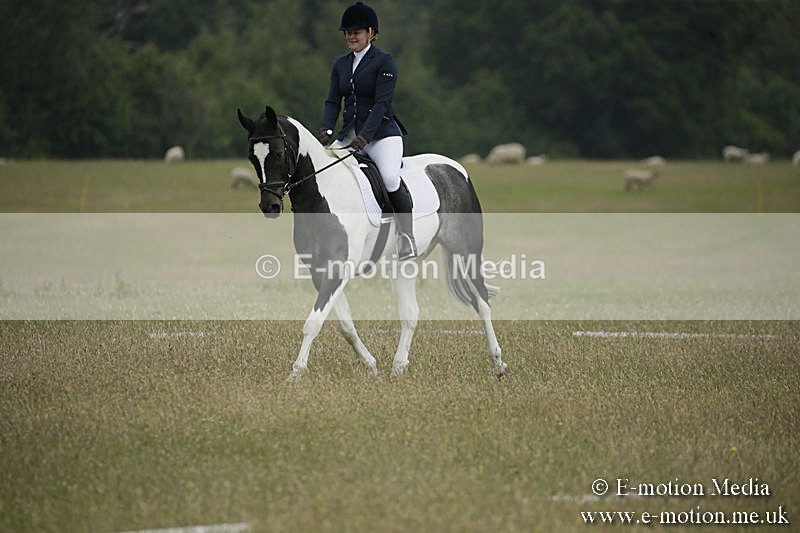 B230619-0368 - Bourne Valley Riding Club Summer Show 23/06/19