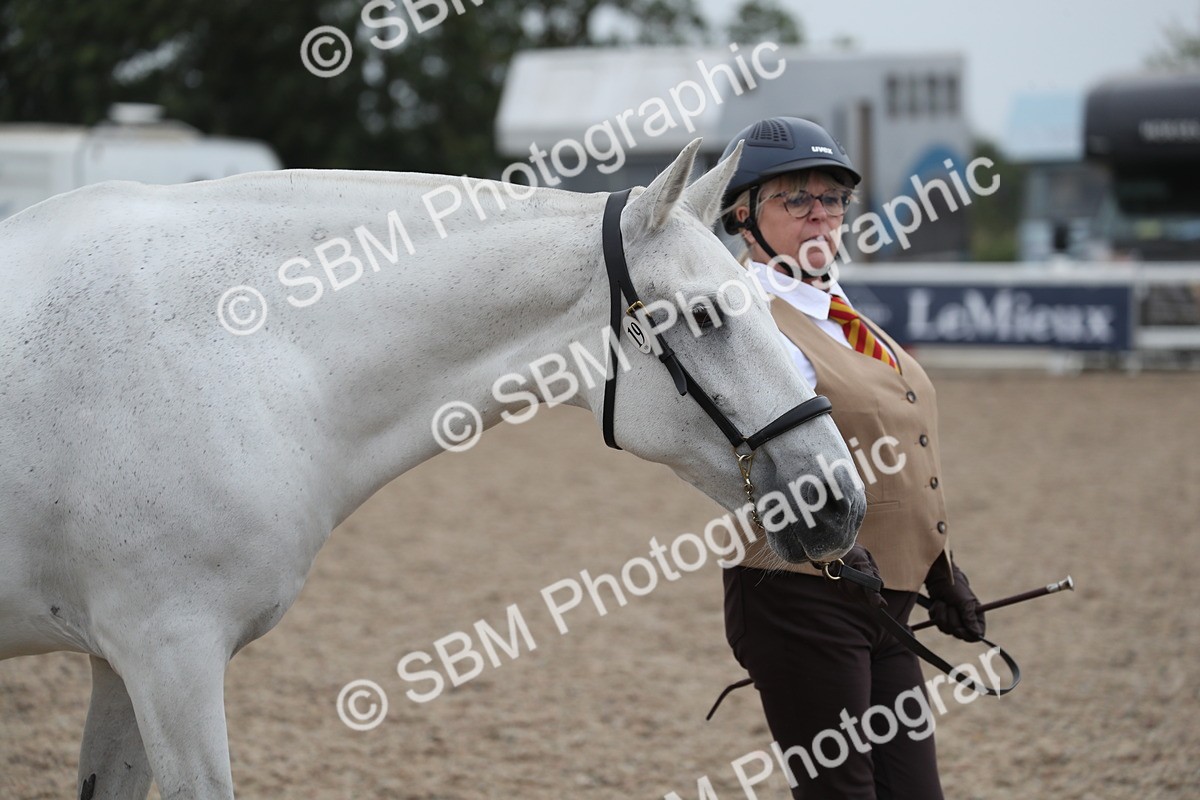 SBM_17860 - Class 317 IH Pure bred Horse/Pony