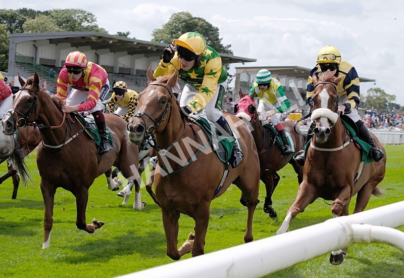 260724-Graham Lee Stable Staff Stakes-05 - Graham Lee Stable Staff Stakes