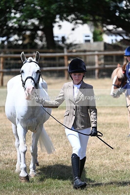 WJ7_2224 - Class 5 Most Handsome Gelding (up to 14.2hh) in hand