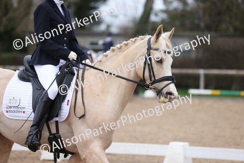 20260301-0461 - Class 3 - Novice 4