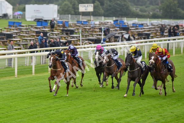 140723-Race 2-Swingalong-8119 - Race 2 2.40pm William Hill Summer Stakes