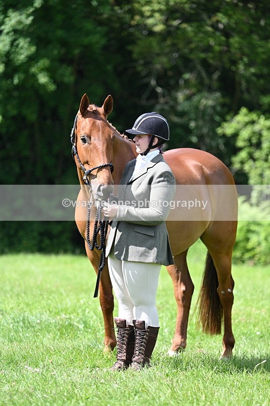 WJ7_1487 - Class 11 Condition & Turnout