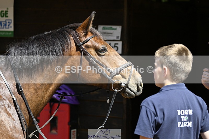 240728B-114813-00334 - Sunday Stable Shots and Fancy Dress