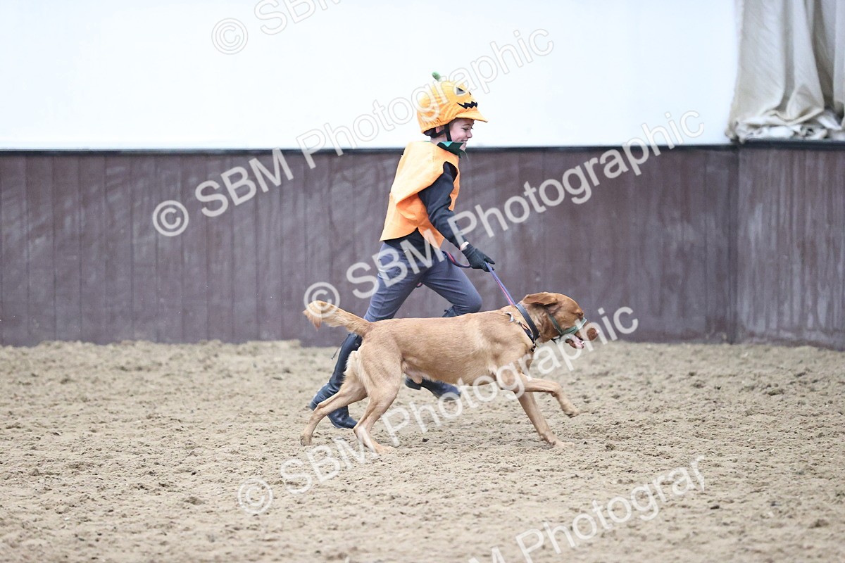 SBM_001374 - Class 3 - Horse & Hound 60cm