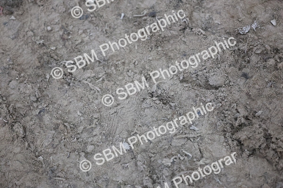 SBM_006288 - Evening Performance