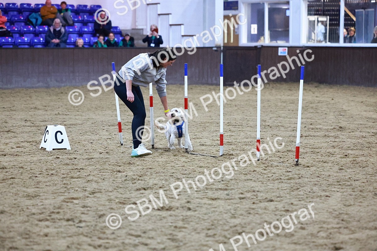 SBM_005913 - Evening Performance