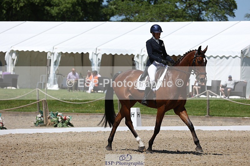 230526-125921-06297 - 164-TREBOR-Kelly_Mccarthy-maine-WEDTrotUp+DR