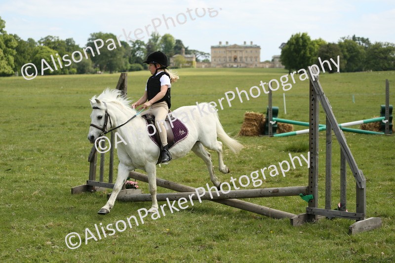20250517-3041 - Class 25 - Horse & Hound