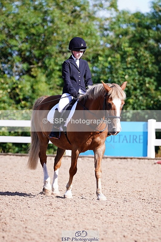 240809A-091150-00172 - Dressage Competition