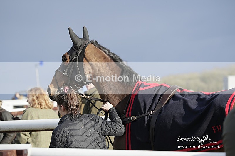 PtP 180323 1326 - Shelfield Park Races with Croome & West Warwickshire Hunt  18/03/23