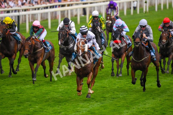 100923-Race 7-Looking For Lynda-1241 - Race 7 4.55pm Brian Taylor 50 Not Out Apprentice Handicap