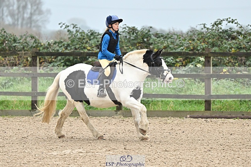 241110-095407-00118 - 40cm Showjumping
