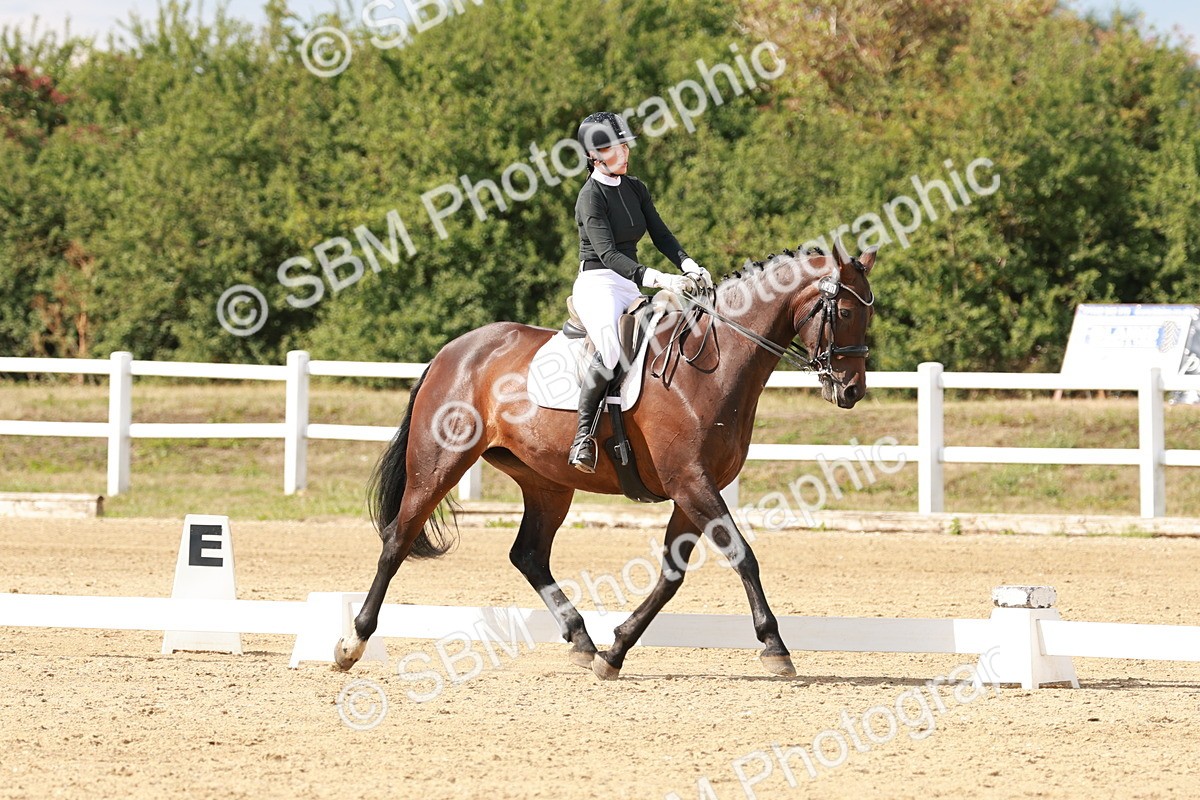 SBM_002455 - Class 11 - Medium 6